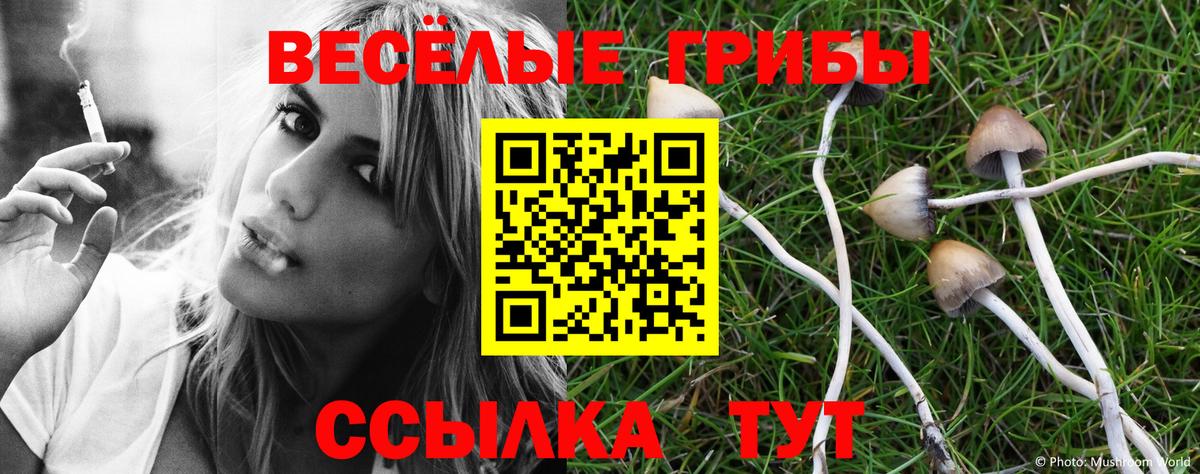 Назрань  Галлюциногенные грибы Psilocybine cubensis  Вход с VPN  Псилоцибиновые грибы GOLDEN TEACHER 